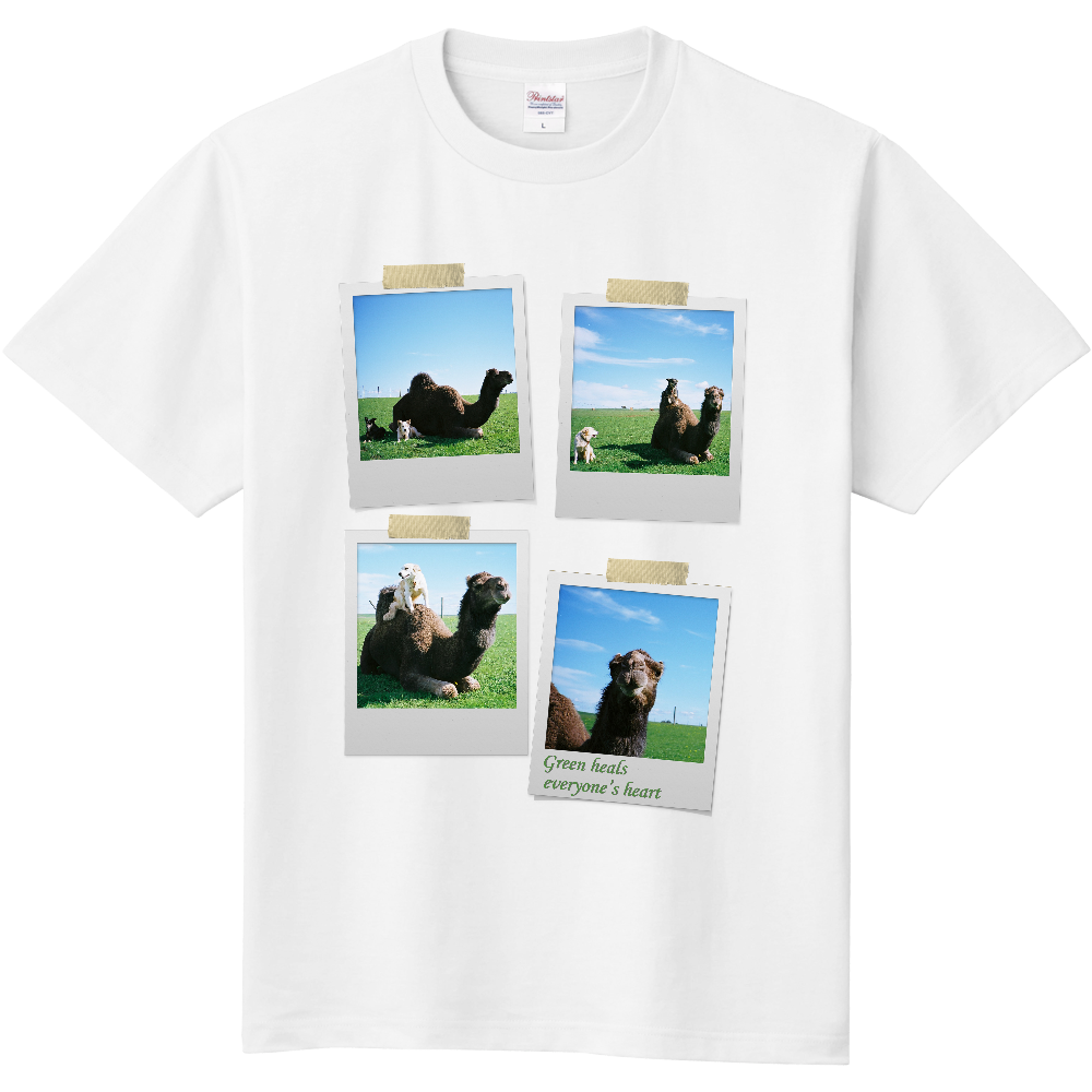 ラクダ・緑＜ポラロイド風・前面＞