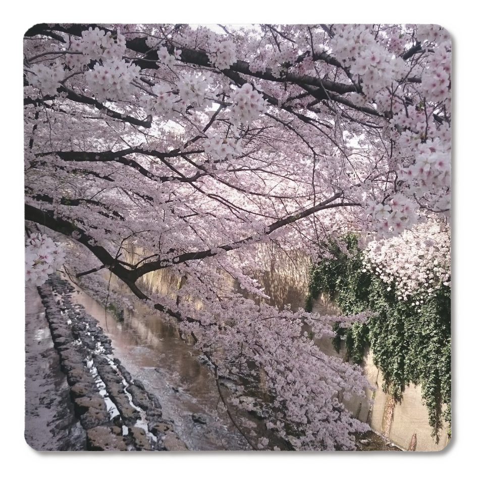 1,245_珪藻土コースター_神田川_REAL102