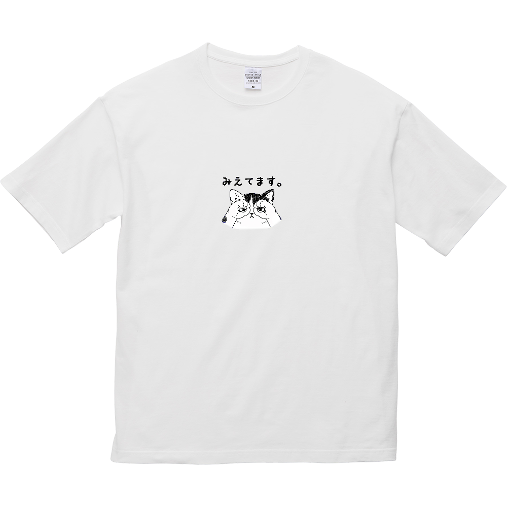 nyanT  みえてます。