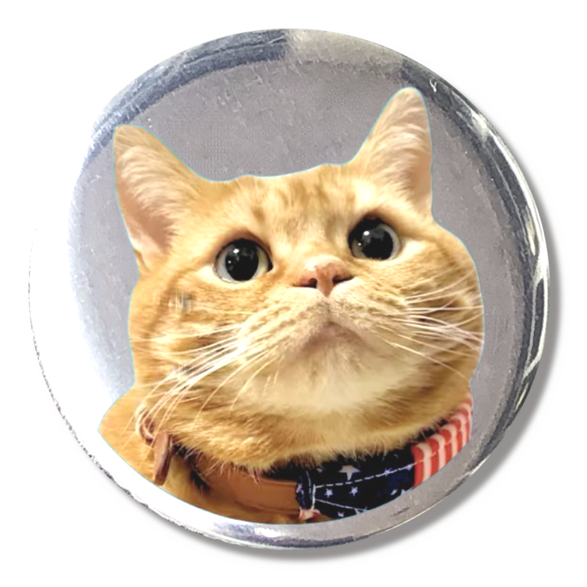 猫TEAの癒しTime（缶バッジ