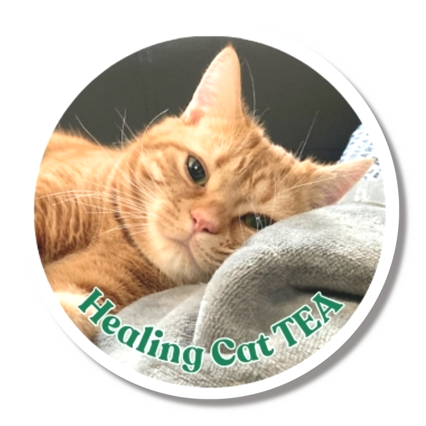 猫TEAの癒しTime（缶バッジ