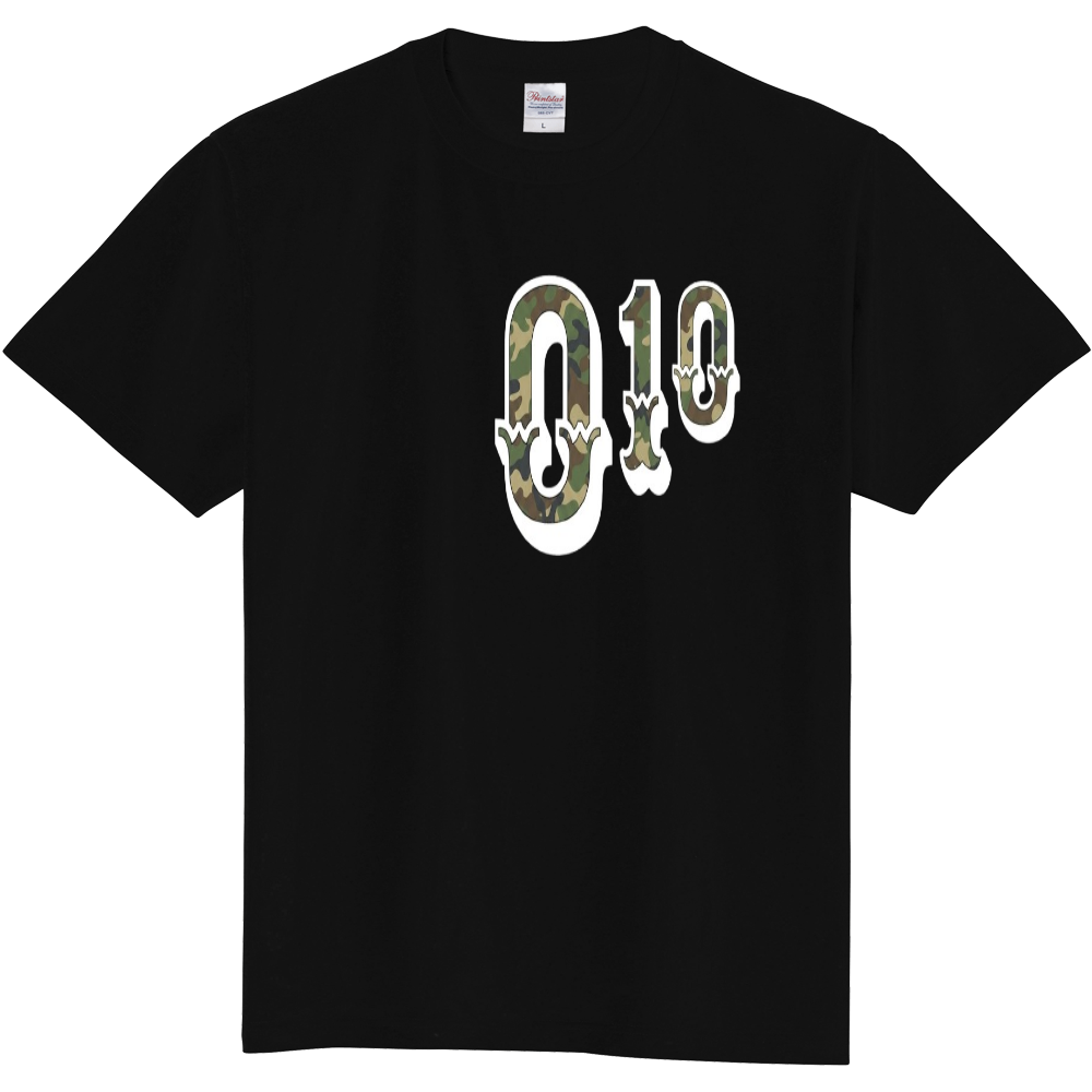 010 CAMO