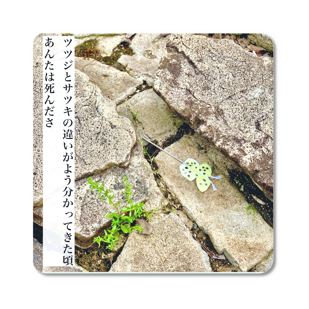 サツキ