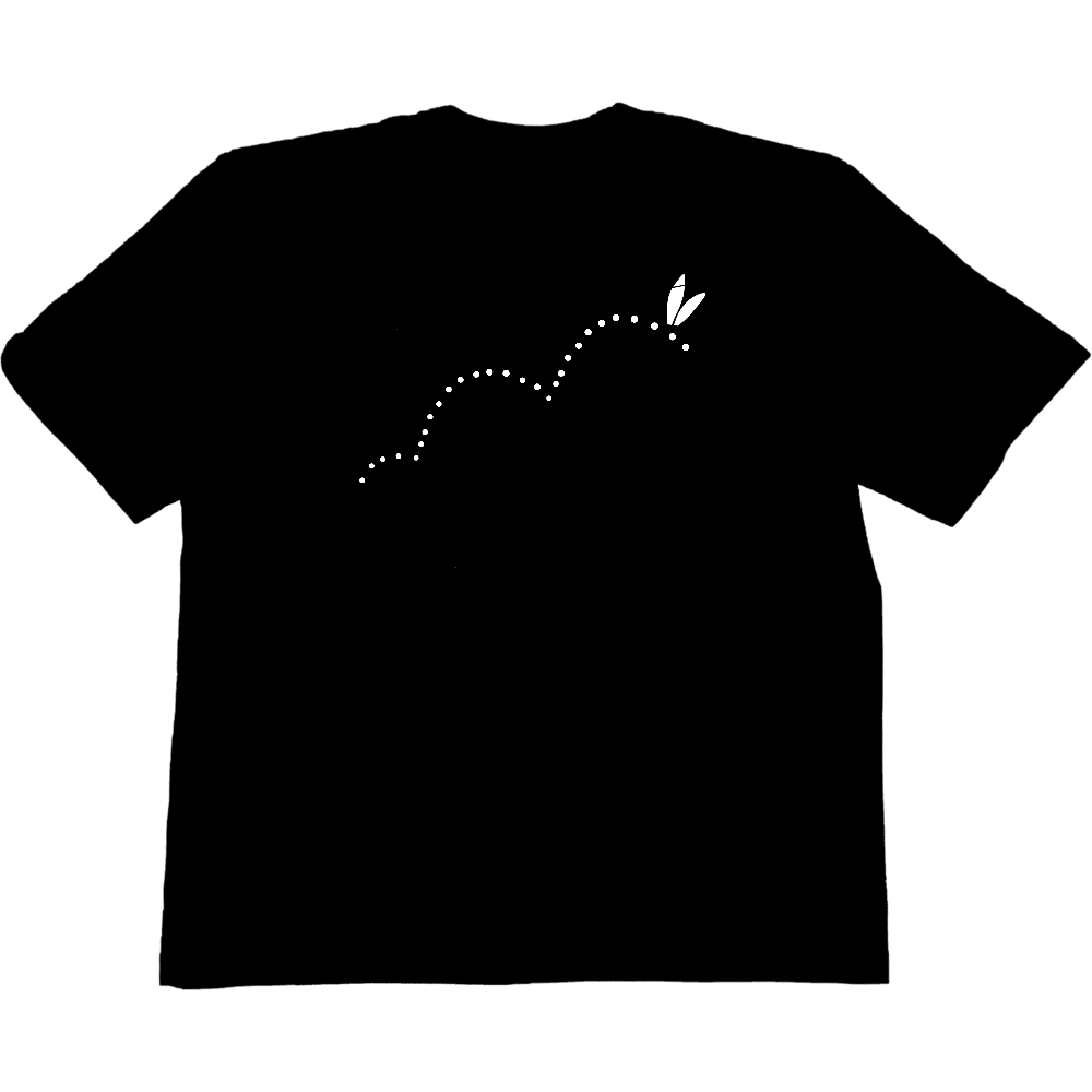 RAINBOW LINE TEE