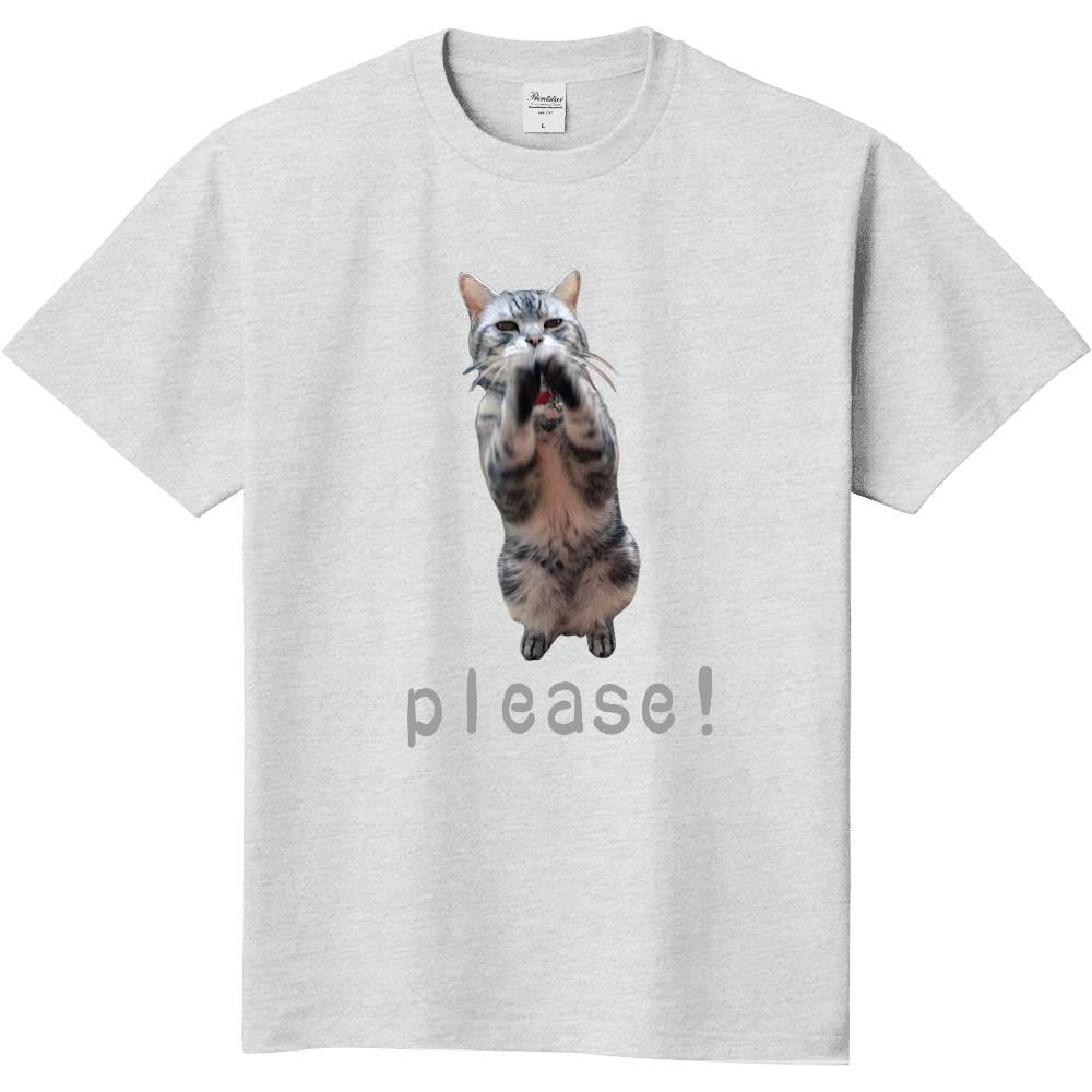 おねだり猫レオＴシャツ