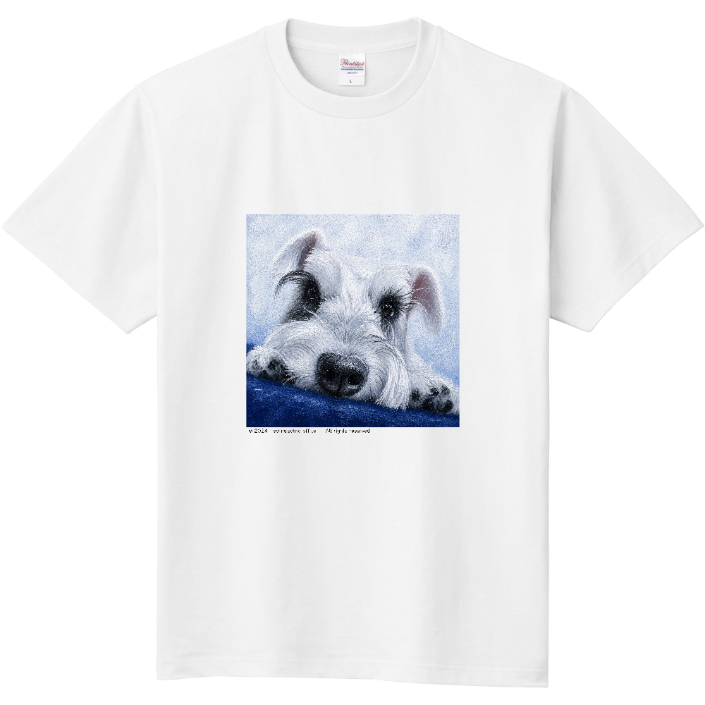 わんちゃんＴシャツ（ミニチュアシュナウザー）