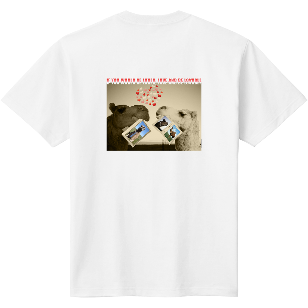 恋人Ｔシャツ（ラクダ）＜背面＞