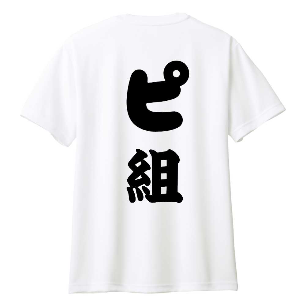 (背中)「ピ組2」ピックルボールドライTシャツ