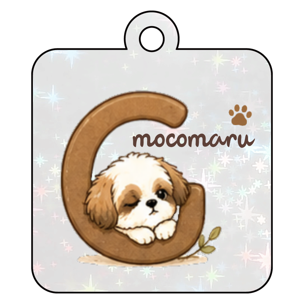 mocomaruくんキーホルダーG