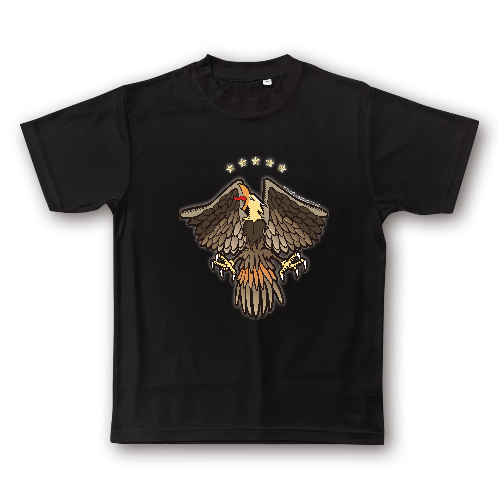 ドライT ファイブスター&イーグル(鷲)(FIVESTAR・EAGLE tatoo design)