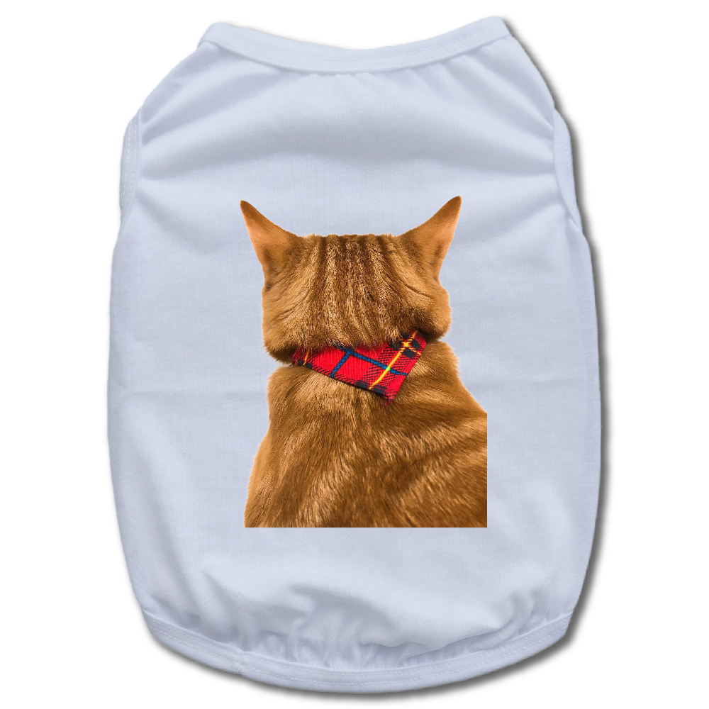 猫TEA ペット服