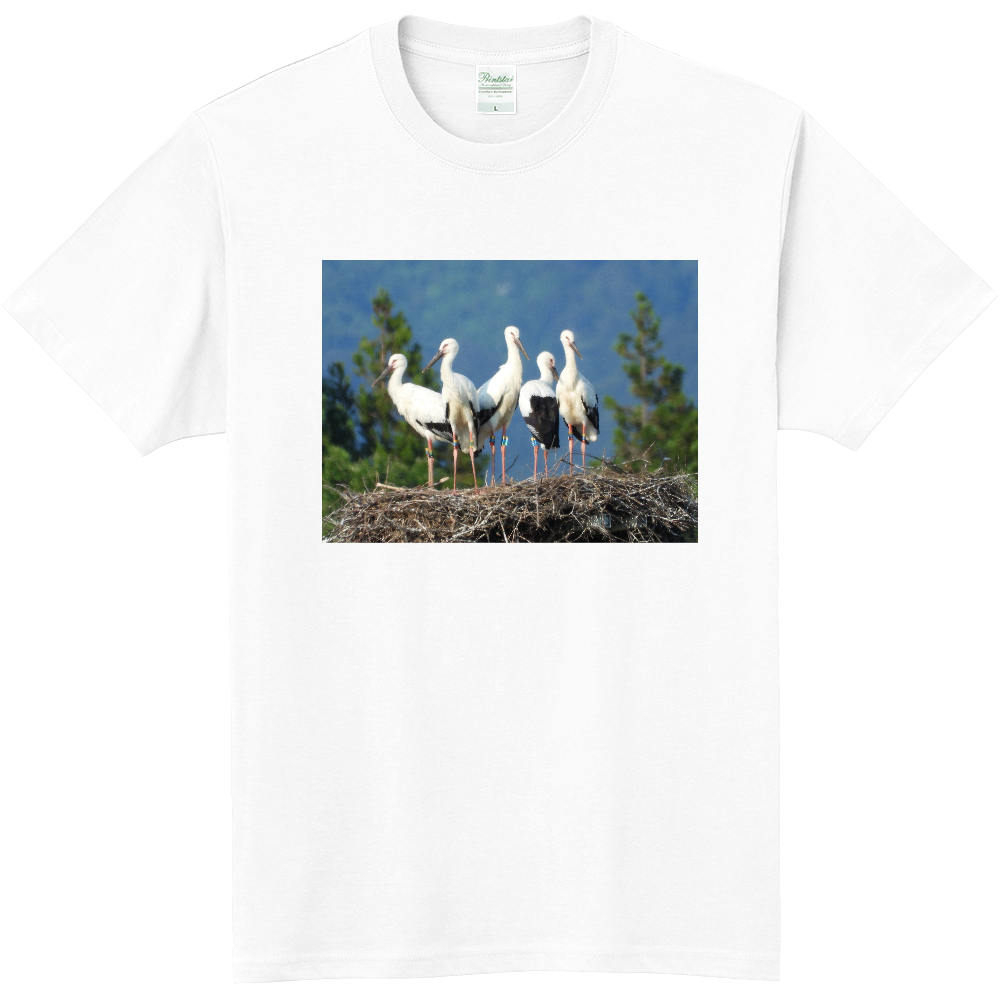 【2026】コウノトリのヒナたち Tシャツ