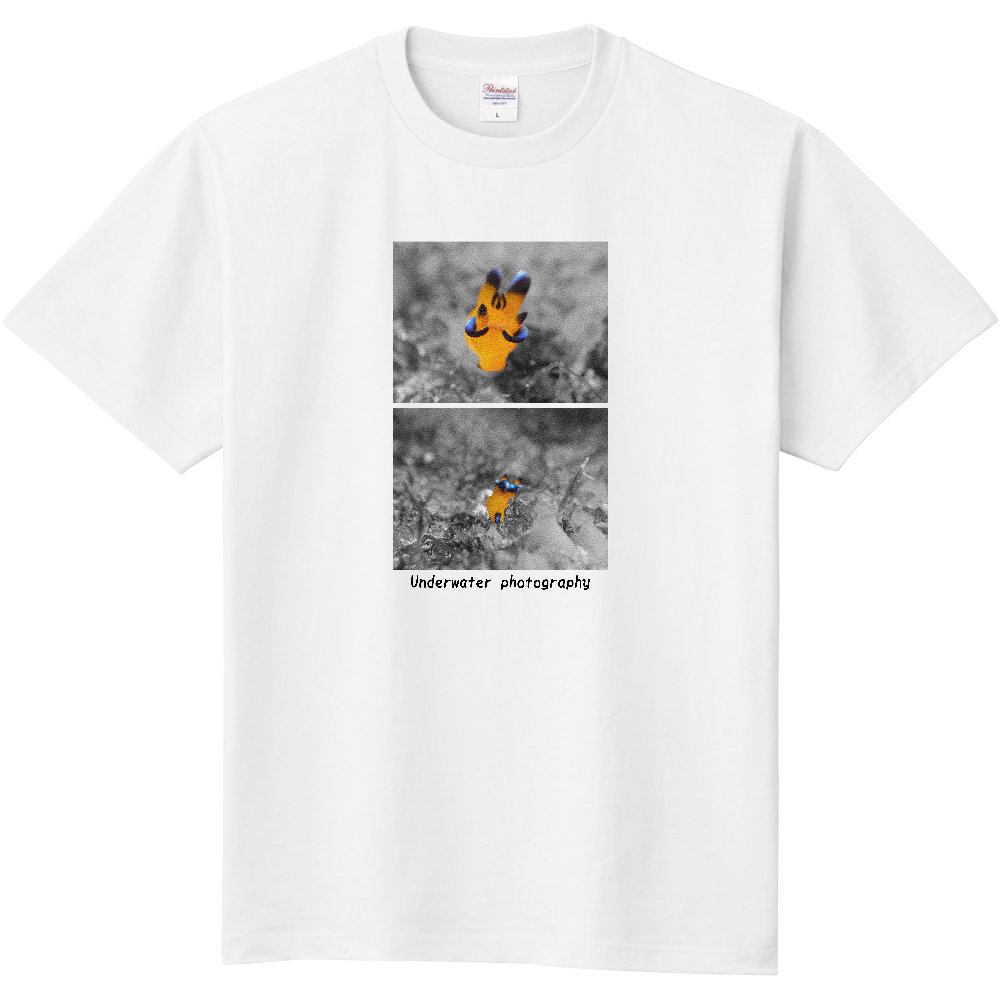No.001