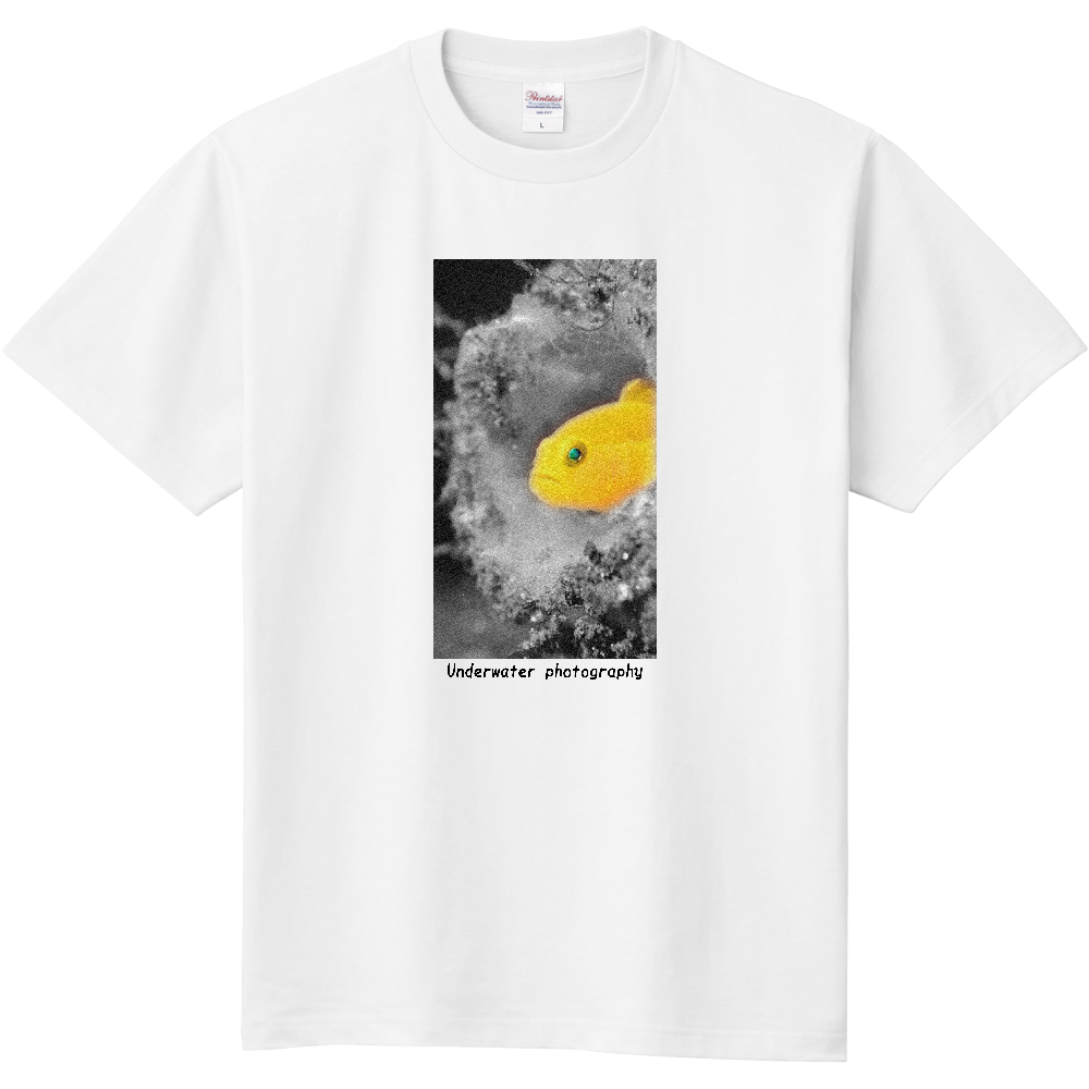 No.002