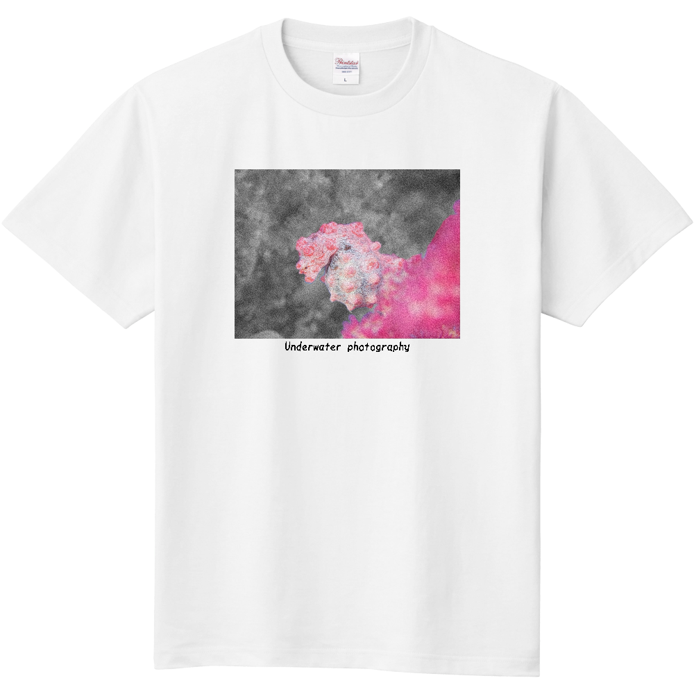 No.003