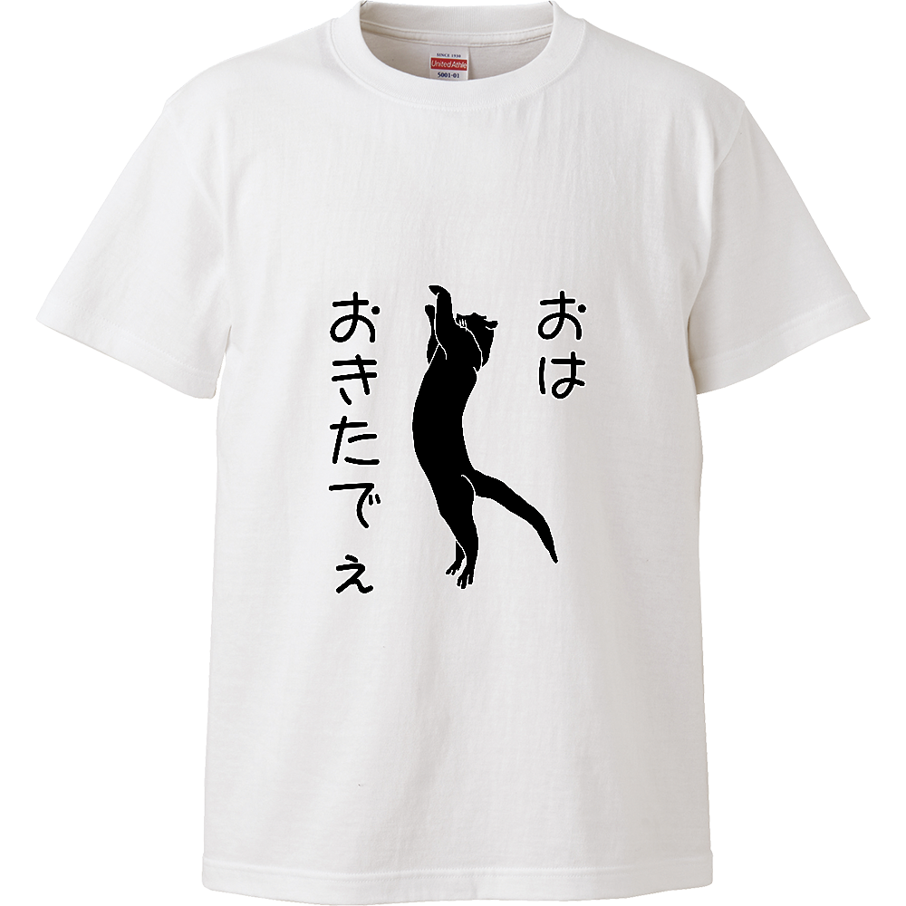 影猫