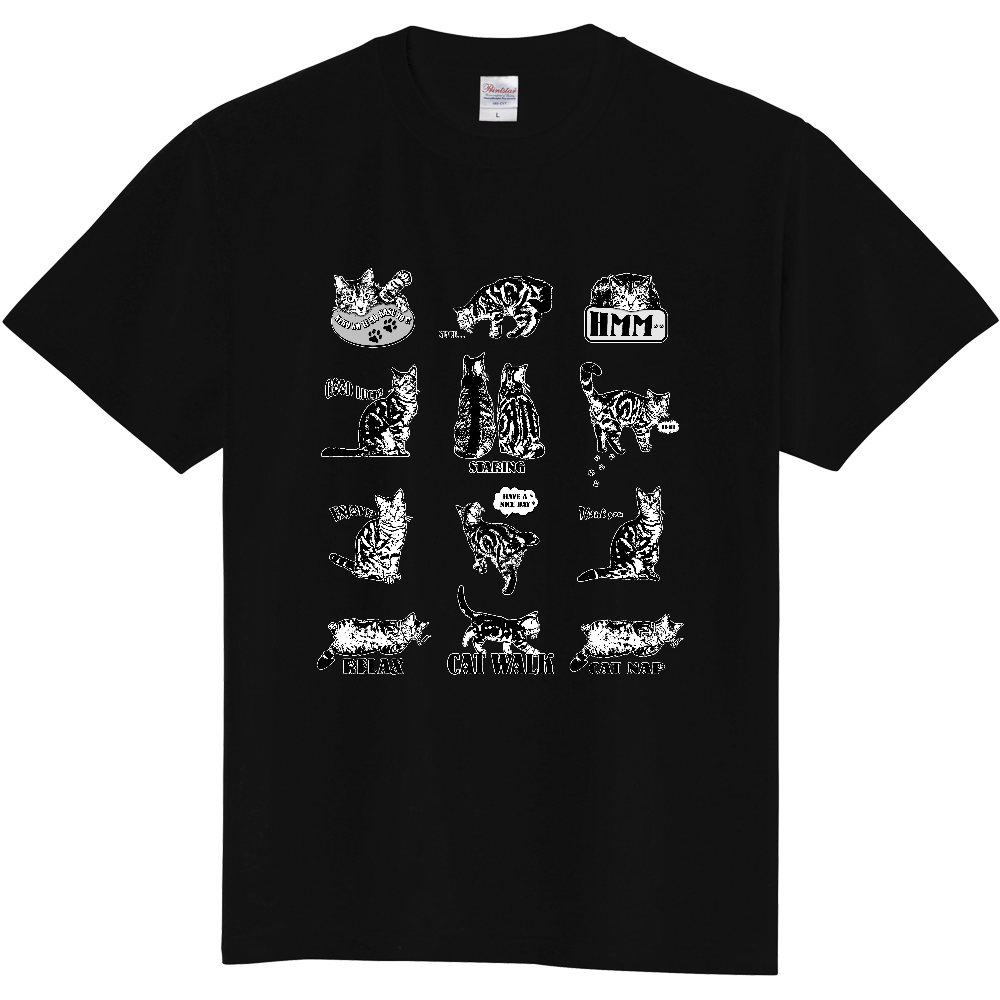 CATS_2KW