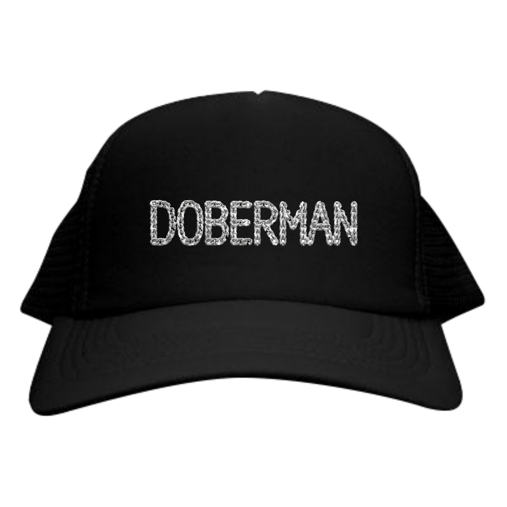 PLATINUM CHAIN DOBERMAN ― Diamond Platinum Edition ― プラチナのような上品な輝きを放つチェーン文字。 シンプルながら高級ジュエリーのような存在感を演出。 意味: 「永遠の価値と美しさを持つ、唯一無二のドーベルマン」