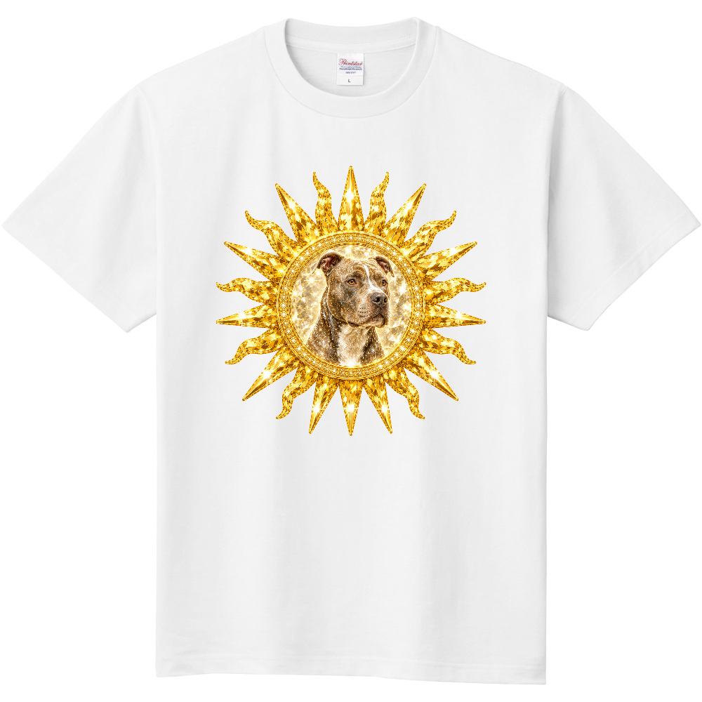 Golden Crystal Sun American Pit Bull Terrier Edition ― アメリカン・ピットブル・テリア ―