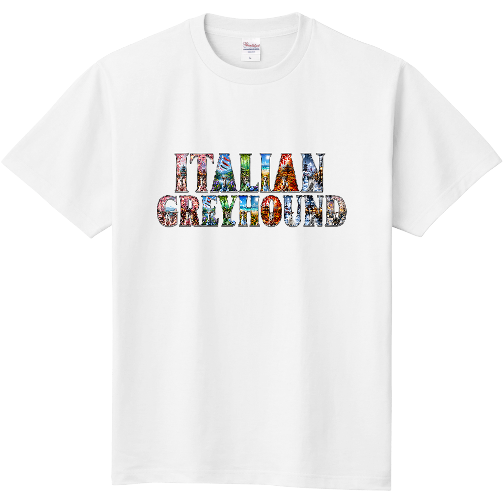 まさかの四季アートレターズ – ITALIAN GREYHOUND EDITION|イタリアングレーハウンド