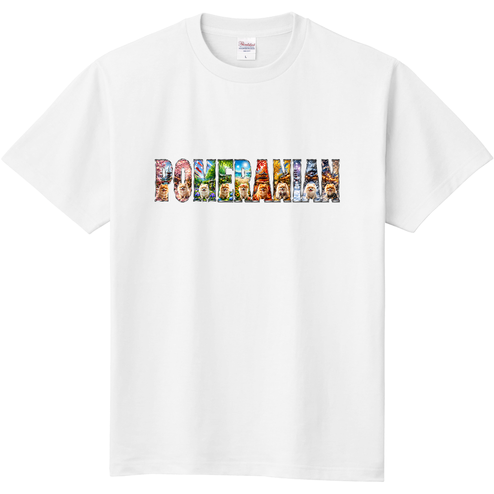 まさかの四季アートレターズ – POMERANIAN EDITION｜ポメラニアン