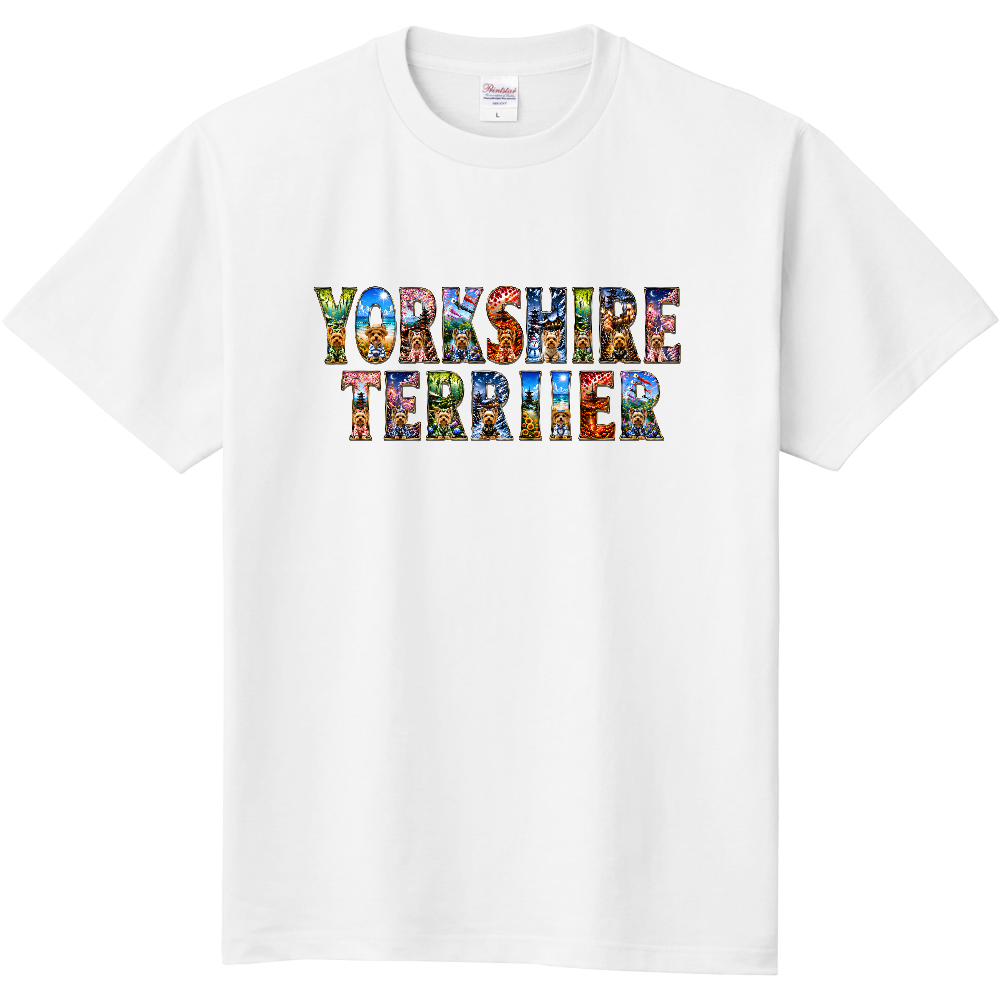 まさかの四季アートレターズ ― YORKSHIRE TERRIER EDITION｜ヨークシャーテリア