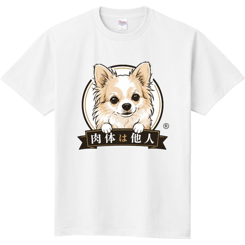 かわいいチワワのハナT