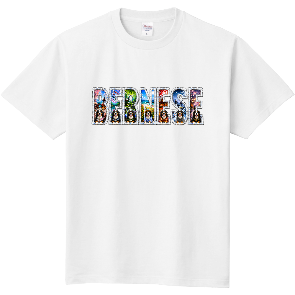 JAPAN FOUR SEASONS INSIDE THE LETTERS DIAMOND EDITION – 日本の四季とバーニーズマウンテンドッグが文字の中で紡ぐラグジュアリーアート バーニーズマウンテンドッグ