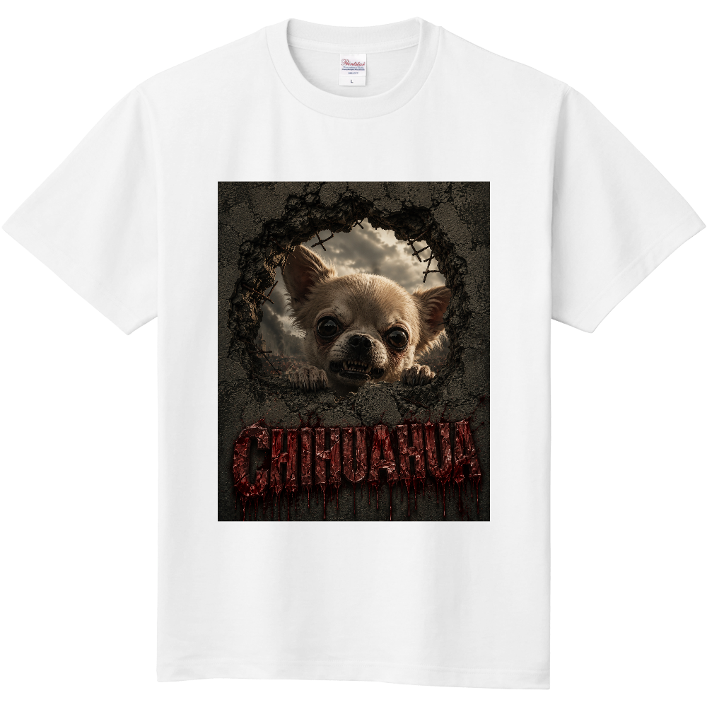 THE WATCHER IN THE WALL – CHIHUAHUA（チワワ） 意味：壁の中から見つめる者