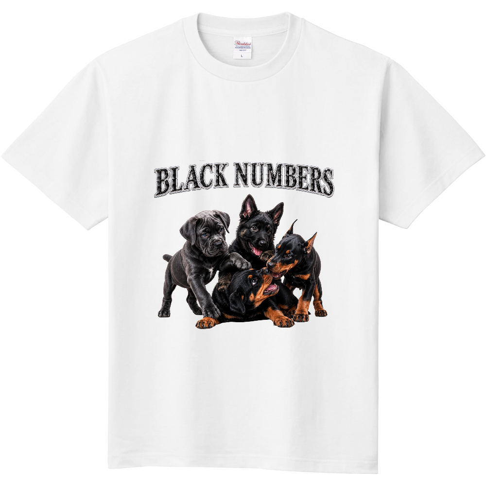 BLACK NUMBERS – PLAYFUL LEGACY –