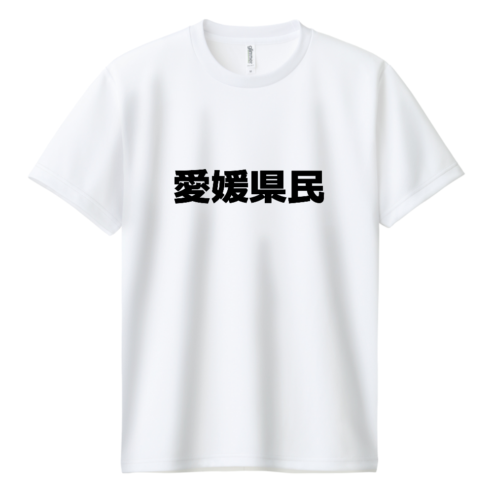 愛媛県民ドライT