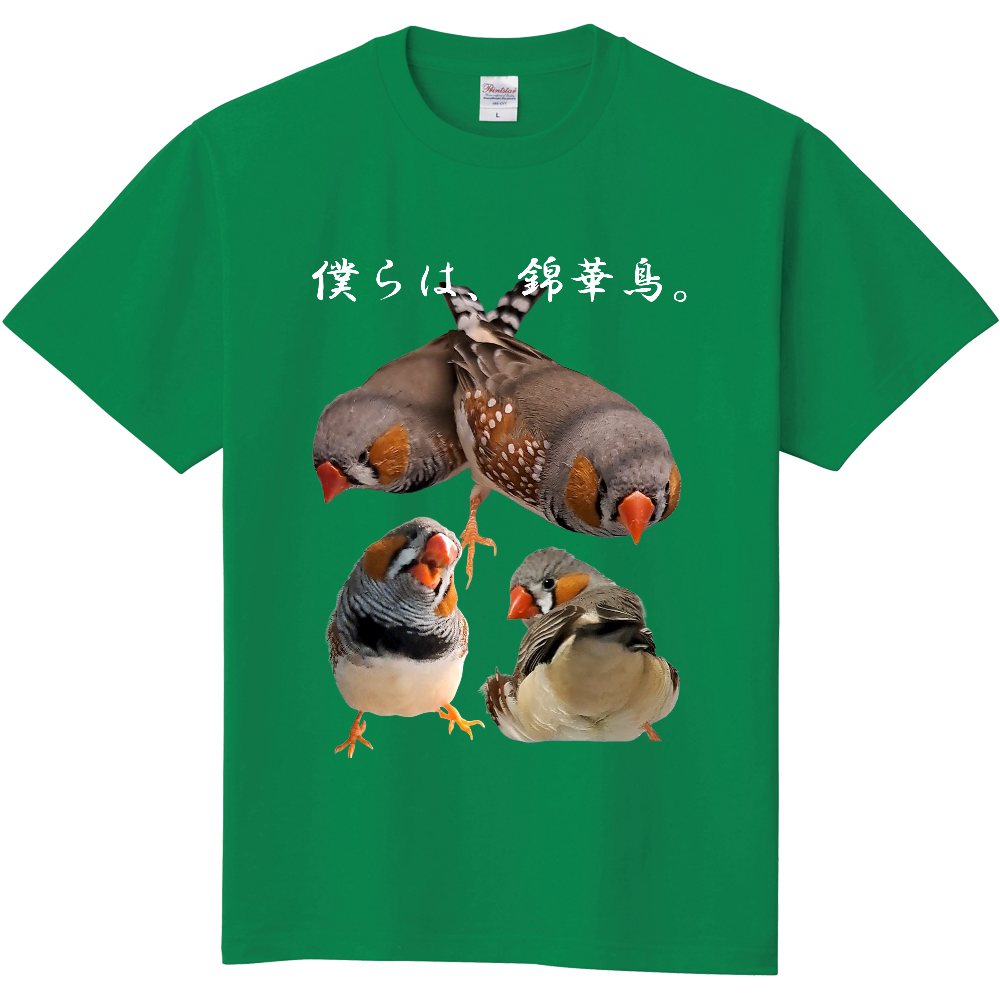 僕らは、錦華鳥。デビュー記念Tシャツ