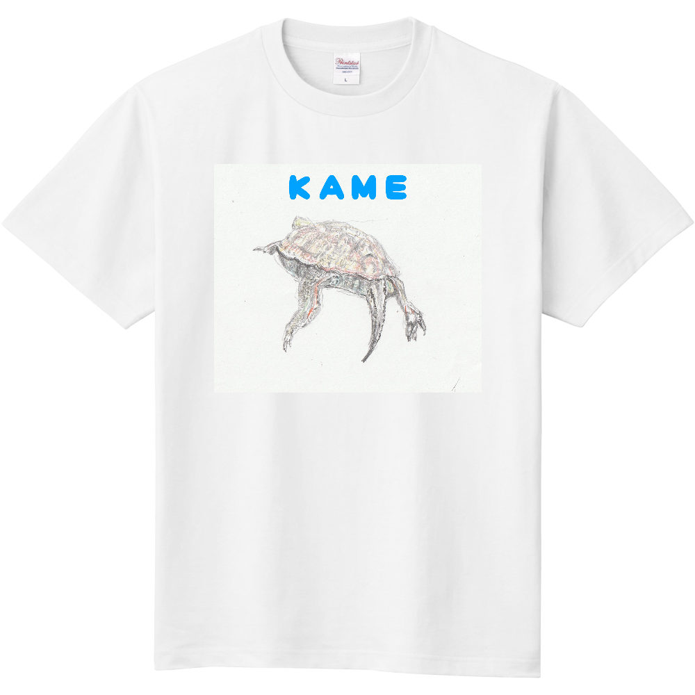 イシガメ Tシャツ