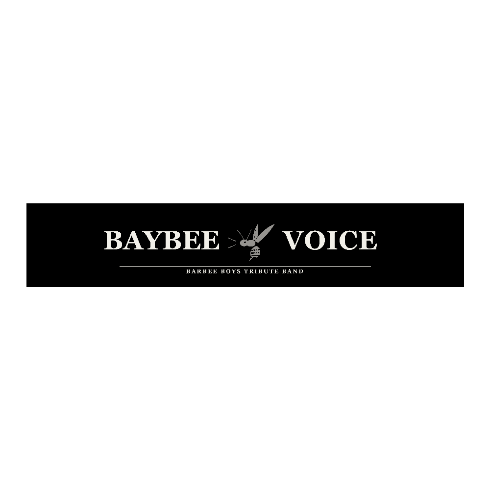 BAYBEE VOICE マフラータオル