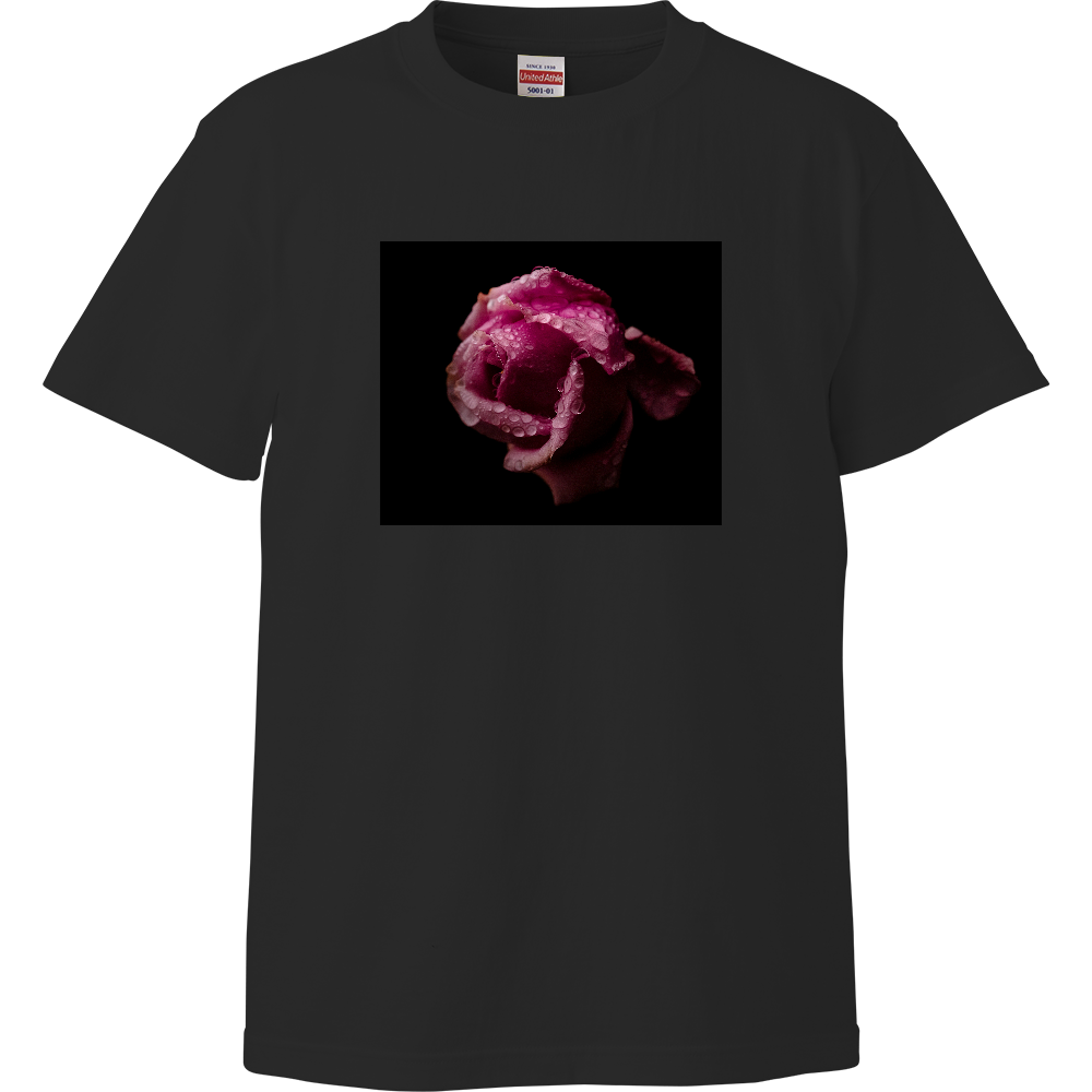 Rose Whisper