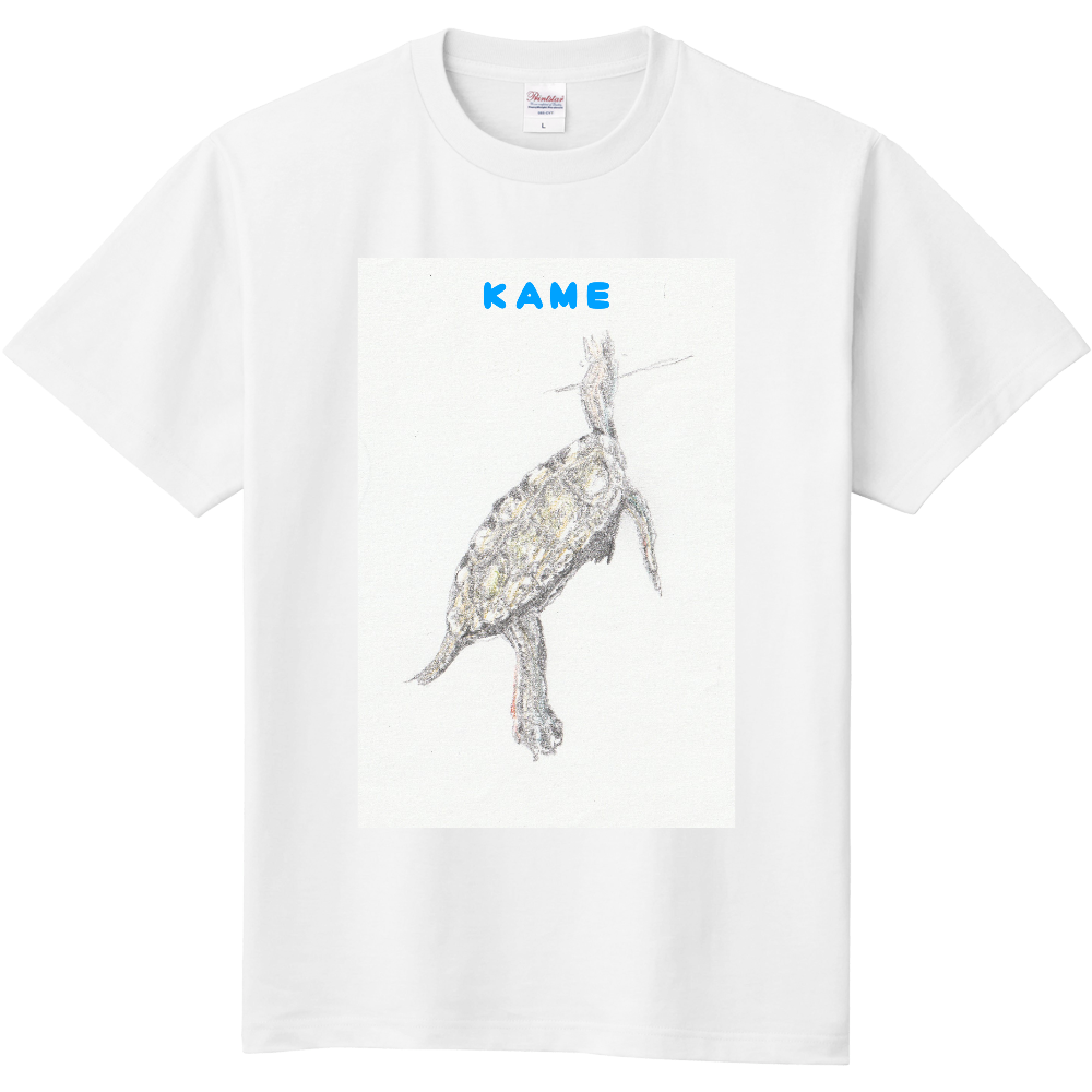 イシガメ Tシャツ