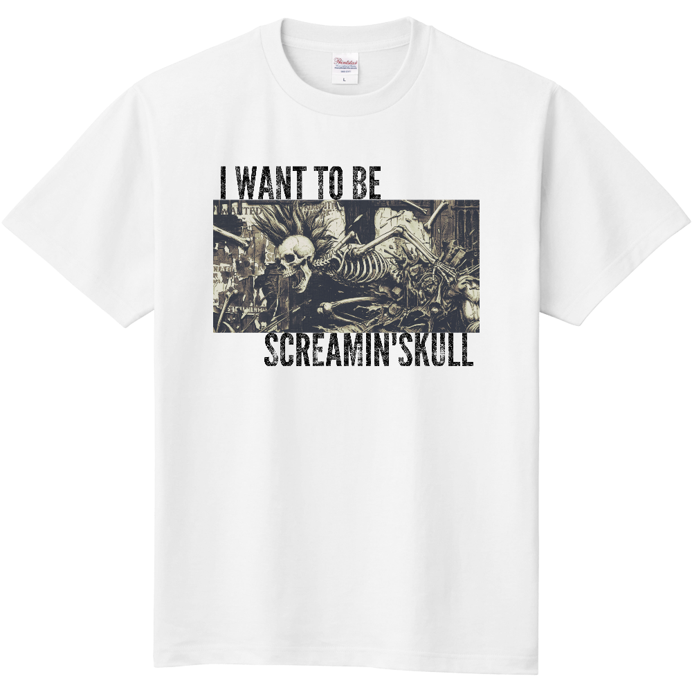SCREAMIN'SKULLの登場