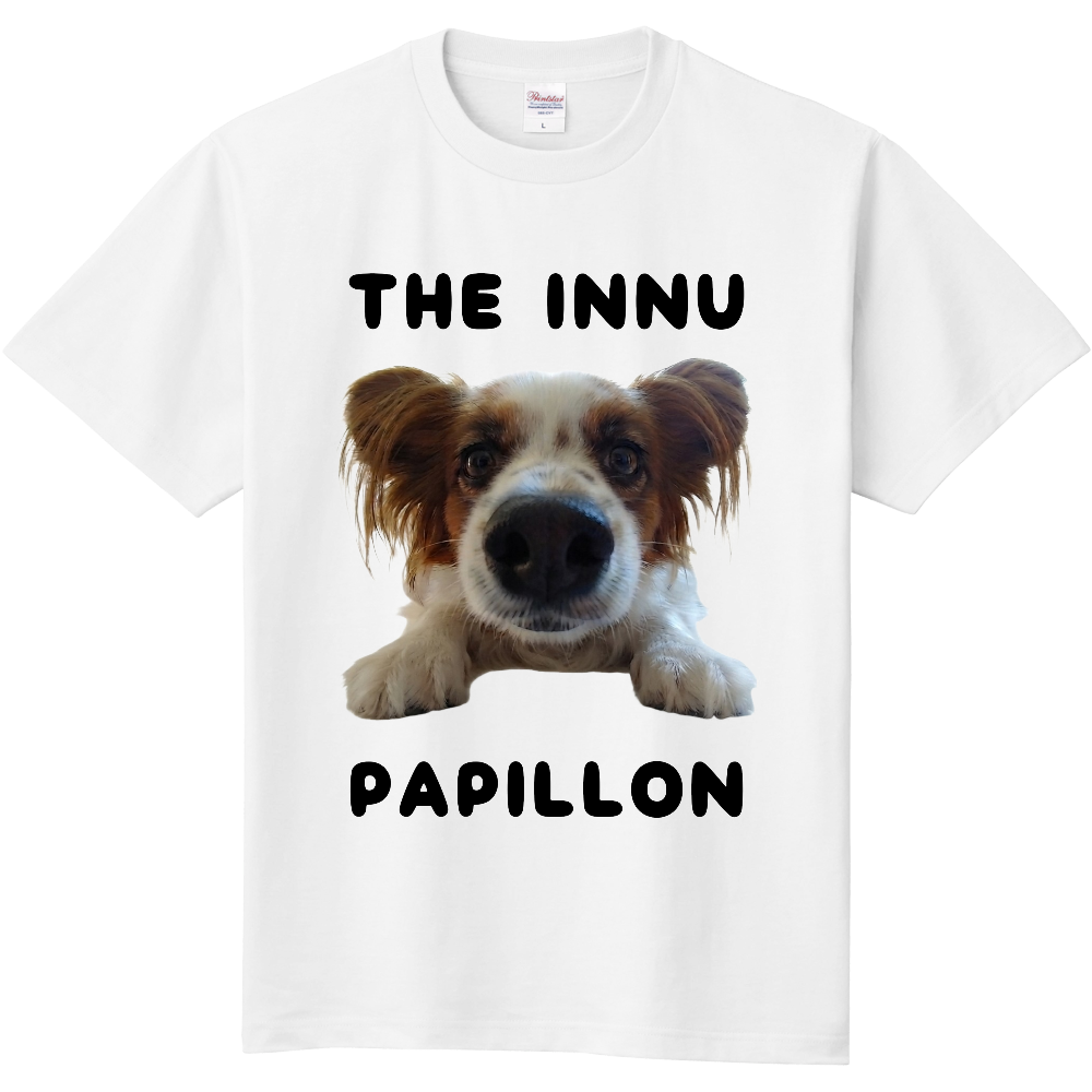 THE INNU パピヨン(表面)白