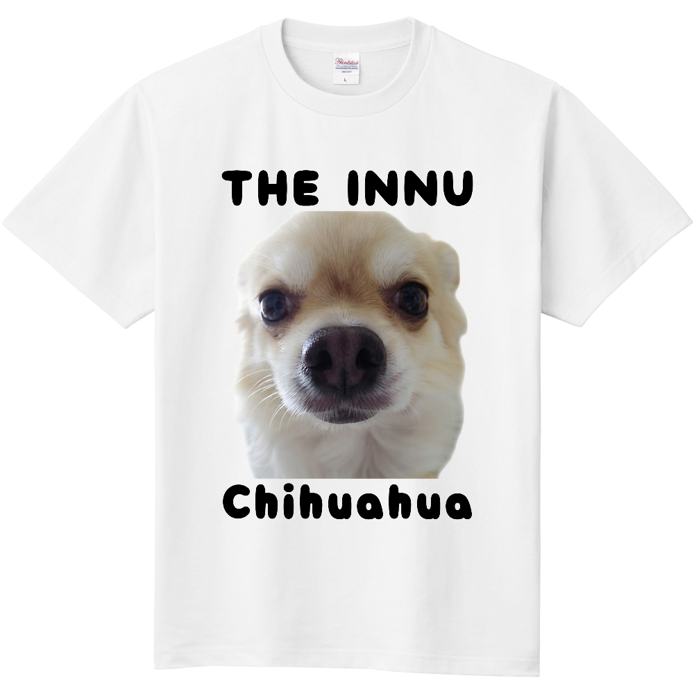 THE INNU チワワ(表面)白