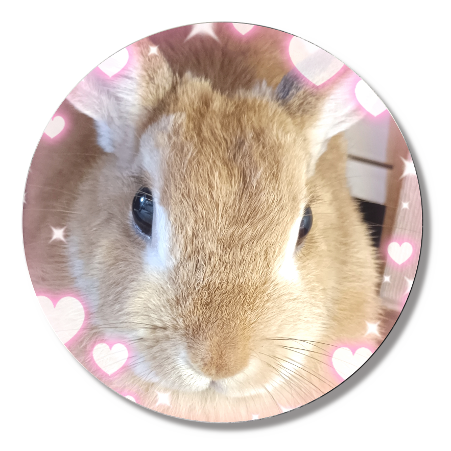 シゲちゃん缶バッジ