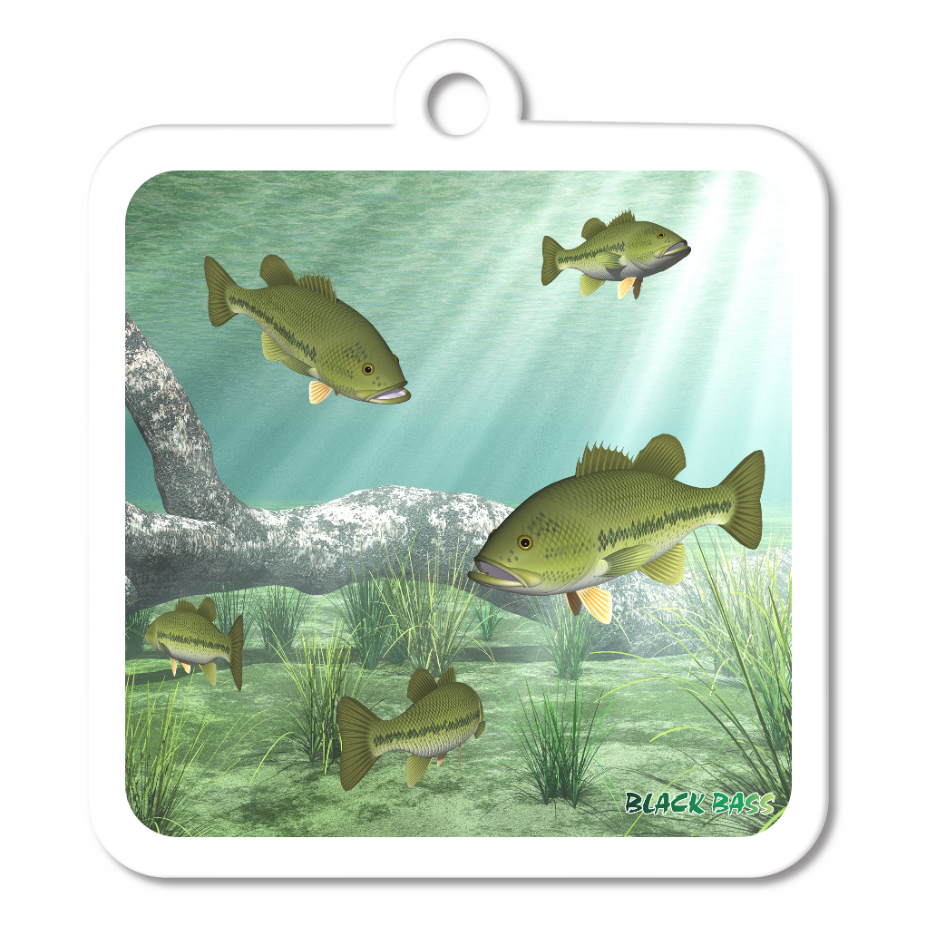 BLACK BASS_1C (アクリルキーホルダー　四角型 6cm)