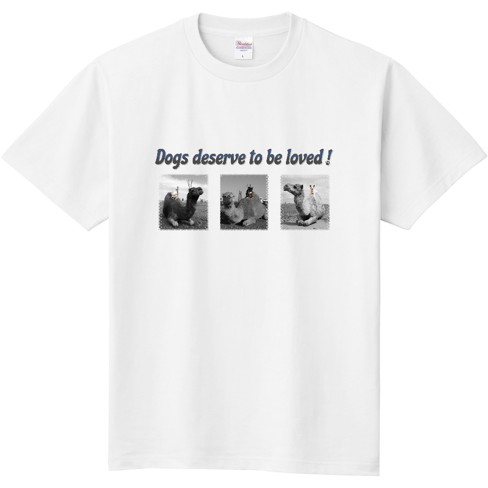 犬Ｔシャツ＜乗りワンコ・前面＞