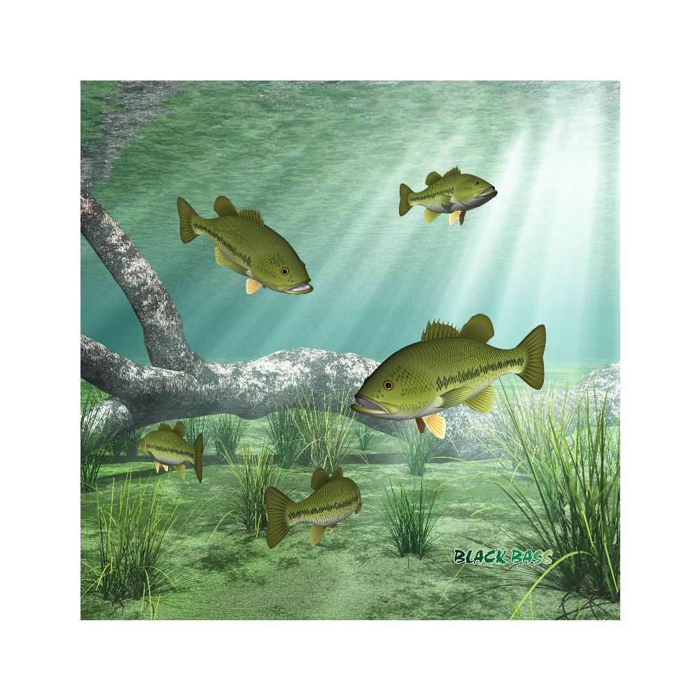 BLACK BASS_1C (高発色 全面印刷 極厚ミニハンカチタオル20cm)