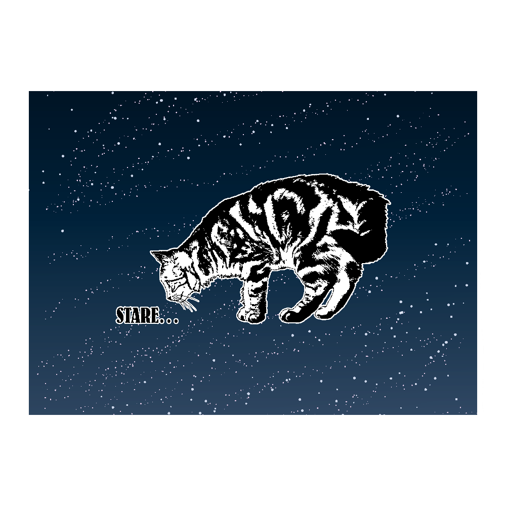 CAT_7KW_YO (高発色 全面印刷 ピクチャースタイルブランケット M)