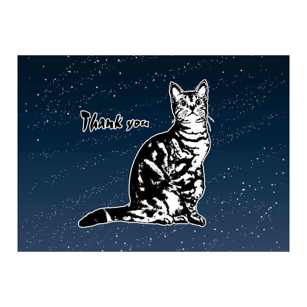 CAT_9KW_YO (高発色 全面印刷 ピクチャースタイルブランケット Ｍ)