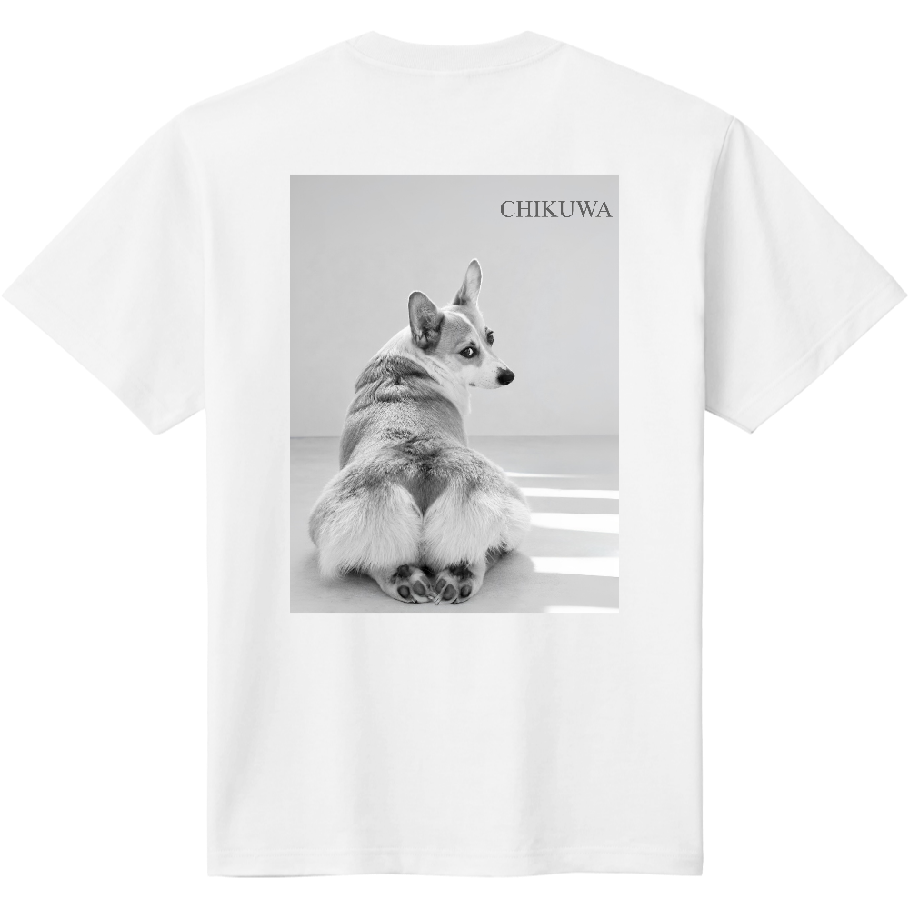 見返りちくわTシャツ(背面)