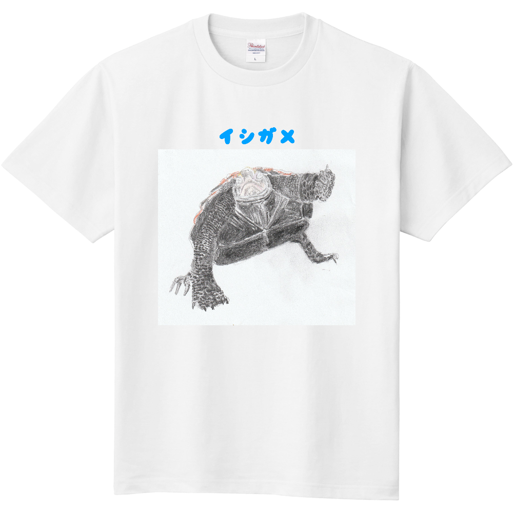 イシガメ