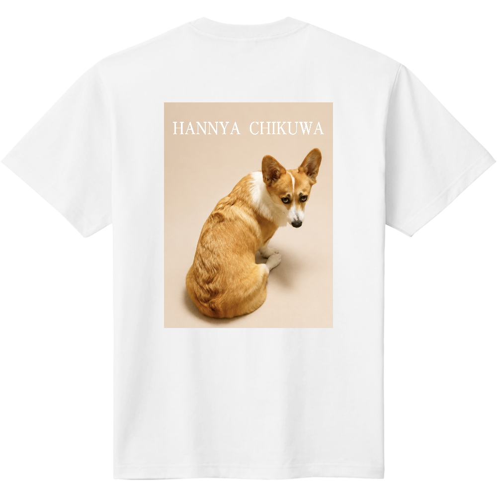 背中に般若ちくわTシャツ