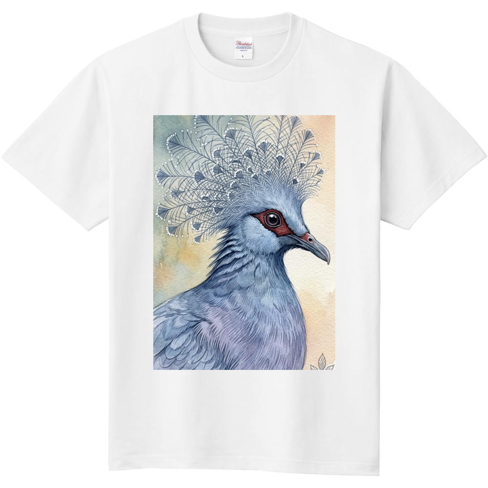 オウギバト(扇鳩)