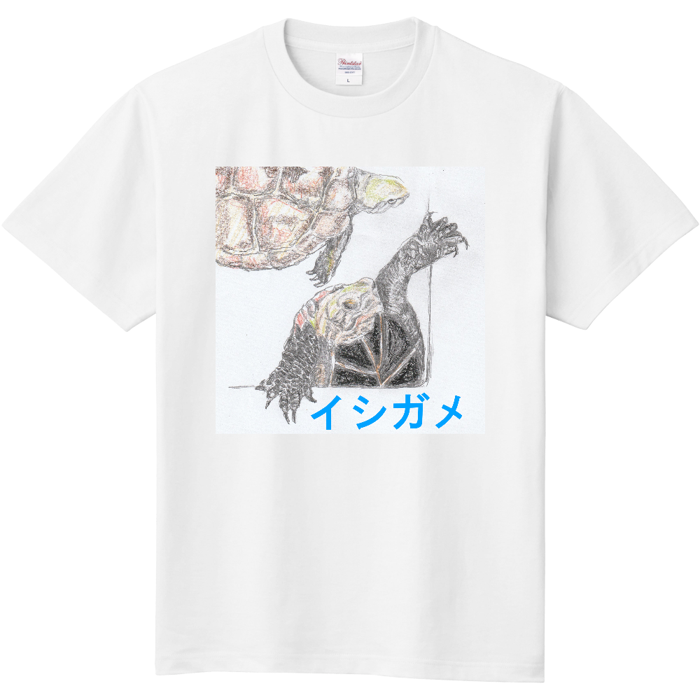 イシガメ脱走